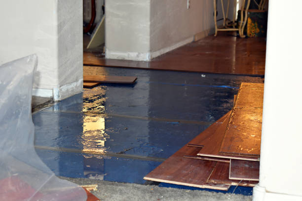 Professional Flood Damage Restoration technician working in Roach, MO